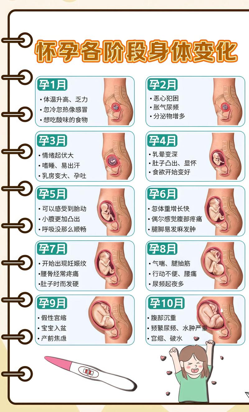 揭秘供卵代孕妈妈怀孕小腹分两节，孕期变化的奥秘汕尾代生机构: